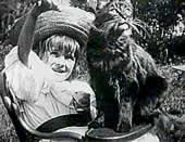 La Niña y el Gato
