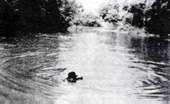 Boudu salvado de las aguas. 1935