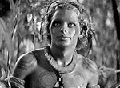 La selva esmeralda