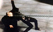 Matrix