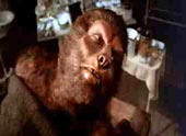 La isla del Dr.Moreau.Taylor