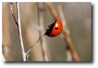 filtros 6