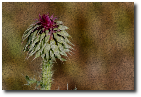 filtros 7