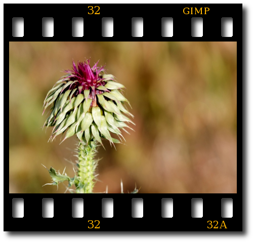 filtros 7