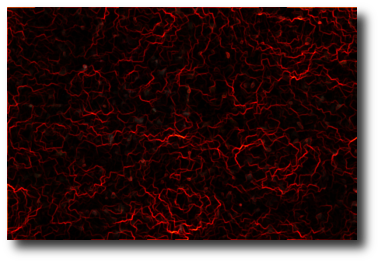filtros 8