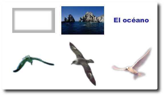 Ejercicio 231