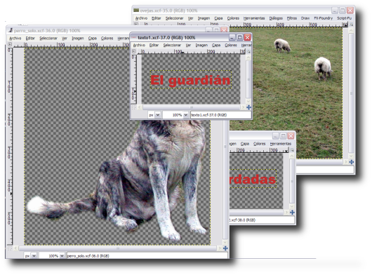 Todas las imagenes
