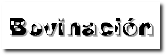 Bovinacion