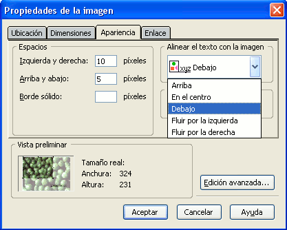 Pestaña de propiedades de imagen