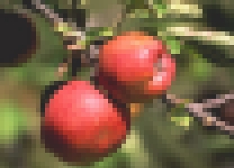 Desenfoque pixelar