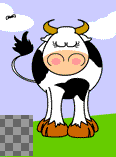 vaca