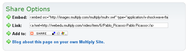 Share Options